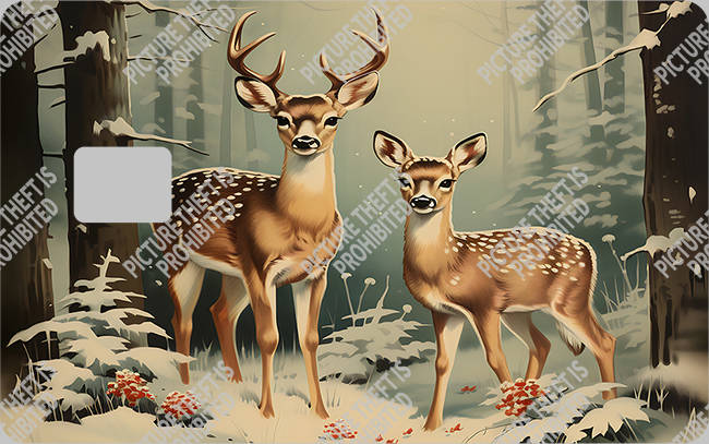 Bank  Card Sticker-BC-2639